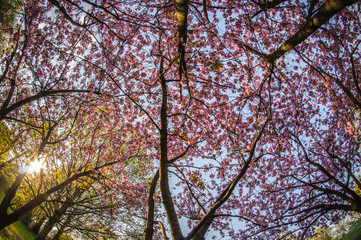 Spring in Hamburg