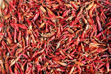 Fototapeta premium Drying chili peppers