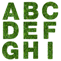 Letters a,b,c,d,e,f,g,h,i made of green grass isolated on white