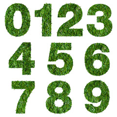 Numbers made of green grass isolated on white