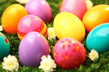 Naklejka premium Easter eggs on grass