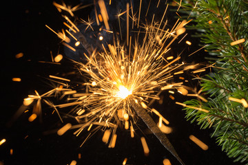 Obraz premium sparklers and spruce branches
