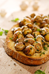 Bruschetta with aromatic fried  mushrooms, garlic and parsley