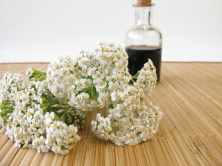 Tonikum mit Schafgarbe