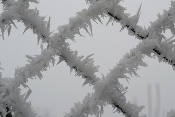 Eiskristalle am Zaun - Nahaufnahme
