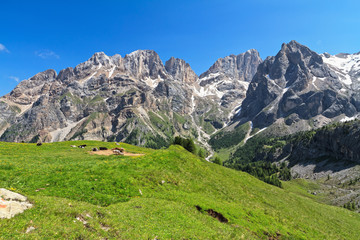 Fototapeta na wymiar Dolomiti - Marmolada group from Contrin Valley
