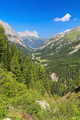 Fototapeta na wymiar Contrin Valley - Italian Dolomites