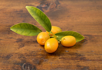 citrus