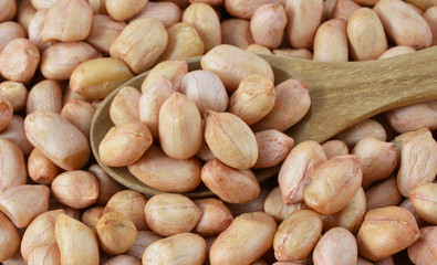 Obraz premium peanut background