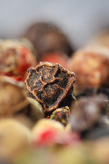 Colorful Peppers Mix in wooden background