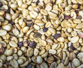 Coffee lies on the earth for drying after the harvest