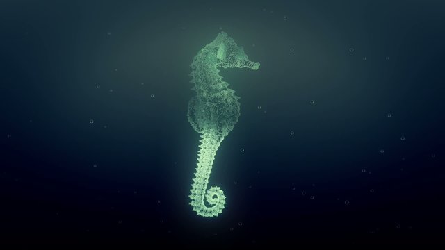 digital sea horse in slow motion