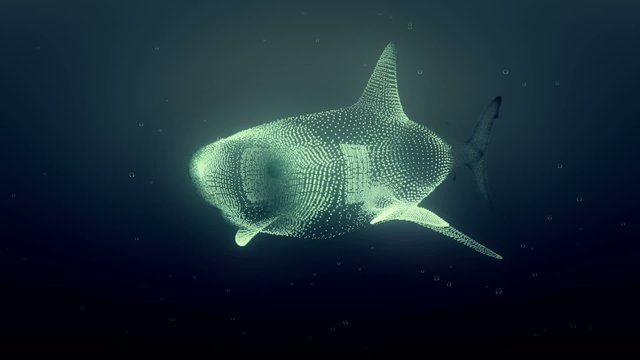 digital shark in slow motion