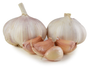 Close up of garlic and cloves. Isolated on a white background.