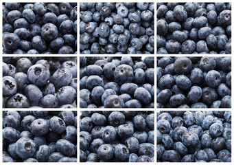 Blueberries