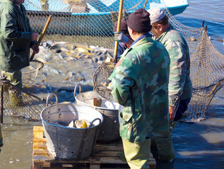 Workers in the fisheries