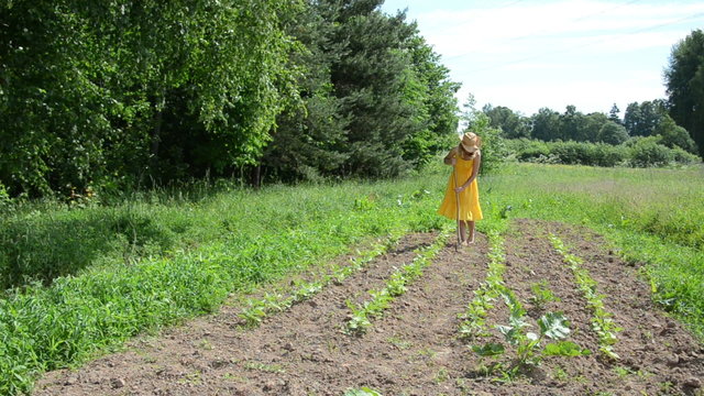 Barefoot farmer lady in dress and hat grub weed in farm