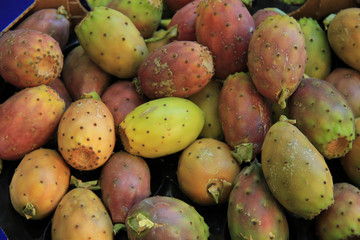 Cactus vigs at a market