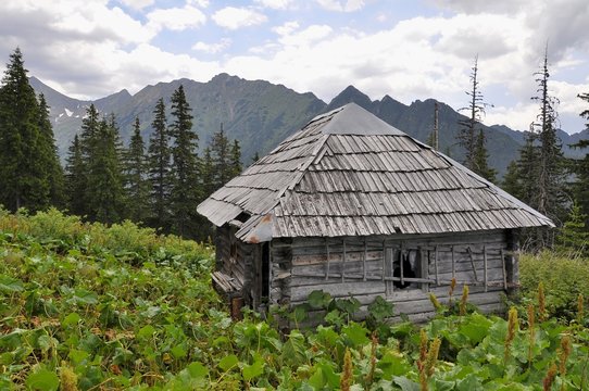 Old  hunter's hut in the mountains