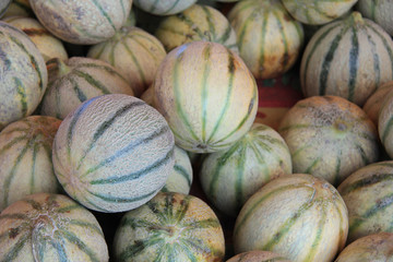 Cantaloupe melons