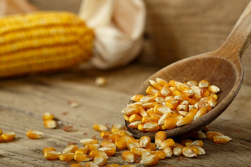 corn