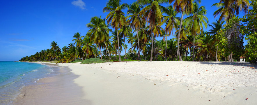 Plage des Cara&iuml;bes