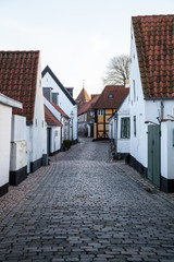 Old Street in Ribe, Denmark