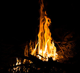 Burning fire abstract at night
