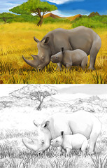 Obraz premium Safari - rhino - coloring page - illustration