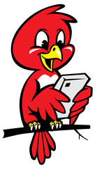 cute little bird using phone