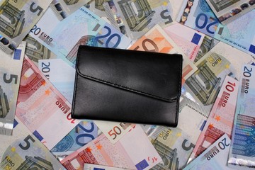 Money euro and wallet