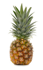 Fototapeta premium pineapple