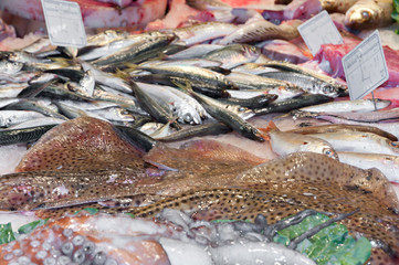 fish market