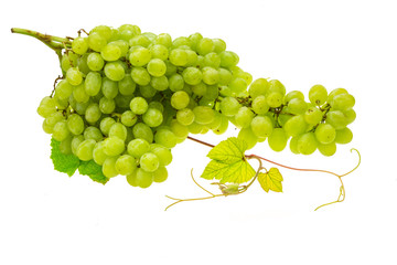Green bright grape