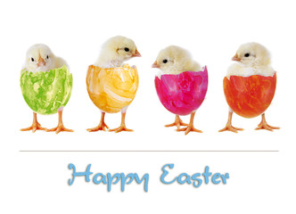 Happy Easter!