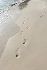 Footprints in sand on beach, Koh Pha Ngan, Thailand