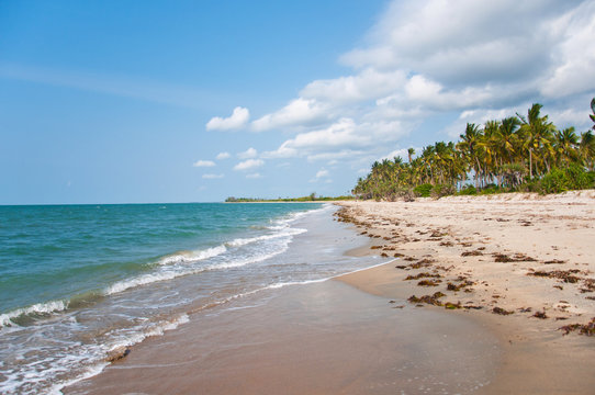 beach on the indian ocean in africa
