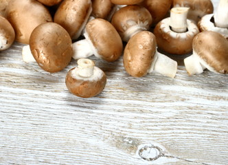 Brown mushroom on white wood background