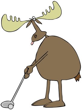 Golfing moose