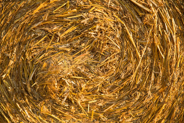 Hay bale background .