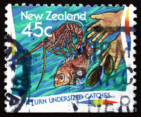 Postage stamp New Zealand 1995 Return Undersized Catches