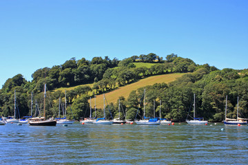 River Dart