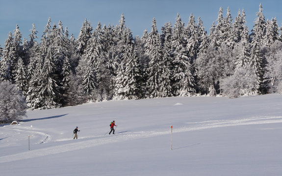 Ski de fond dans les Vosges