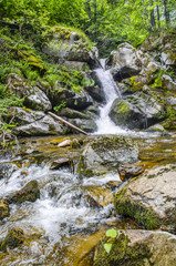 Fototapeta na wymiar waterfall with clean water in beautiful nature of Macedonia