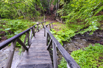 Spring forest with wood bridge over creek in forest