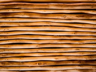 Vertical View of Decorative Cutting Eucalyptus wood