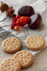 Biscuit