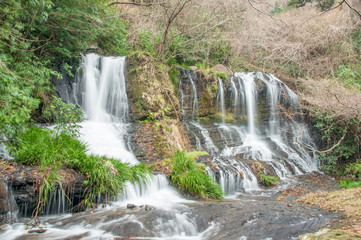 Fototapeta premium 滝