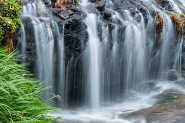 Fototapeta premium 滝