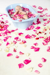 baby girl bathing in bathtube with rose petals in studio